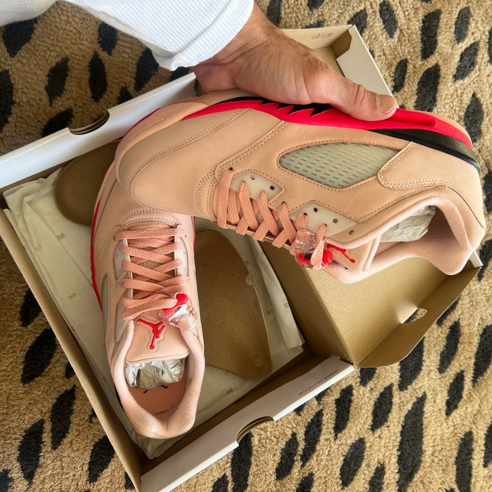 Air Jordan 10 1/2 pink five